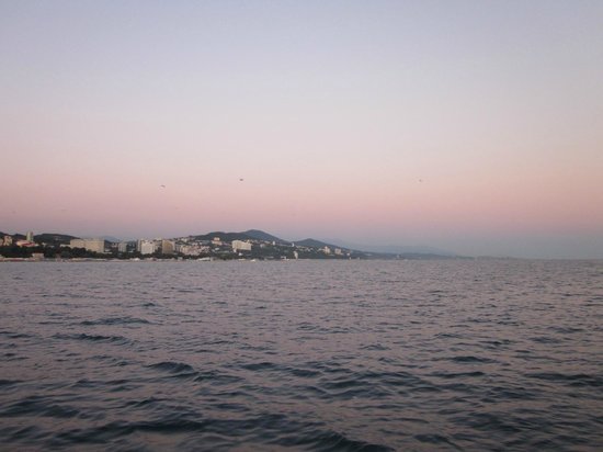 sochi s morya